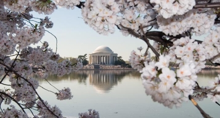 Thomas Jefferson Memorial